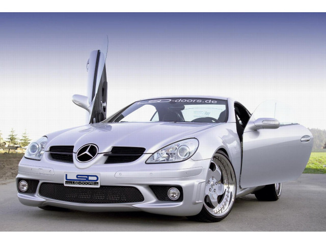 LSD Doors SLK 200 фото