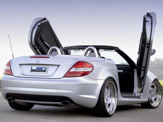 LSD Doors SLK 200 фото