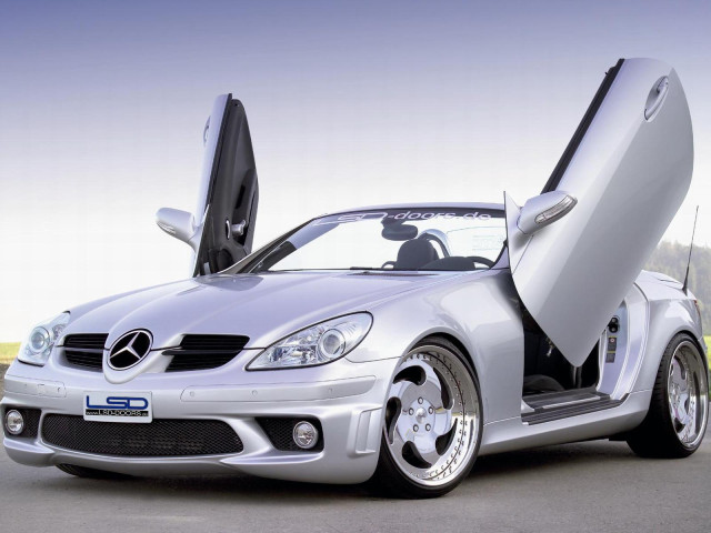 LSD Doors SLK 200 фото