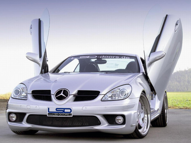 LSD Doors SLK 200 фото