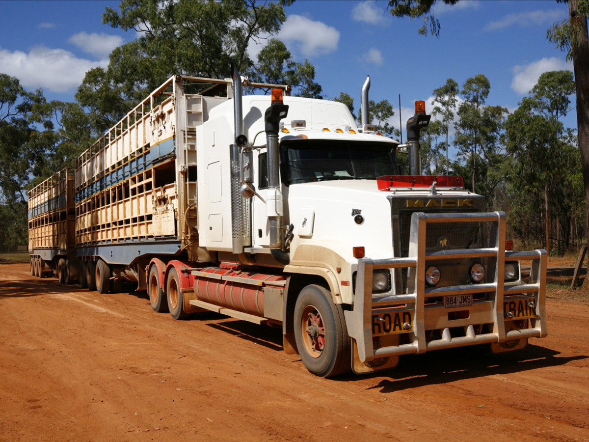 Mack Titan фото 67274