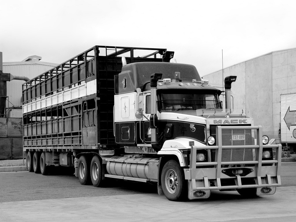 Mack Titan фото 67282