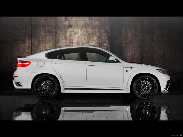 Mansory BMW X6 M фото