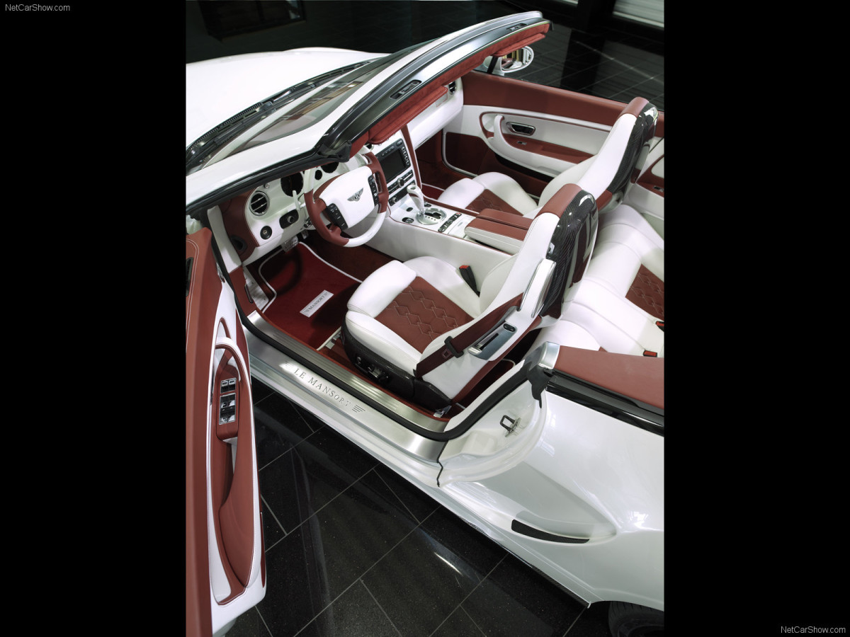 Mansory Le Mansory Convertible фото 47661