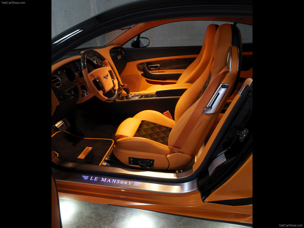 Mansory Le Mansory фото 47650