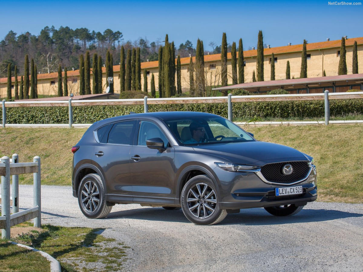 Mazda CX-5 фото 181751