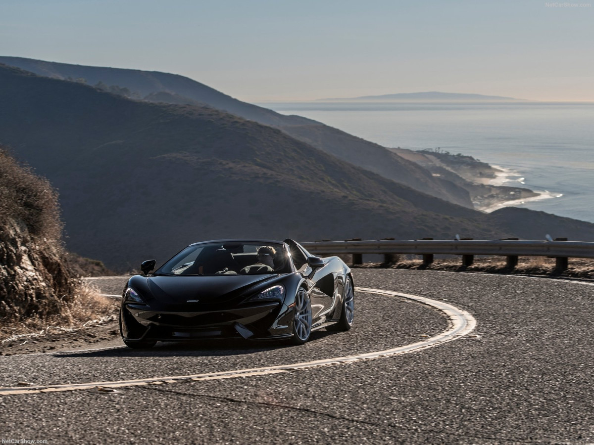 McLaren 570S Spider фото 191311