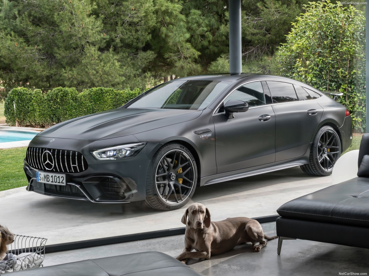 Mercedes-Benz AMG GT 4-Door фото 193769