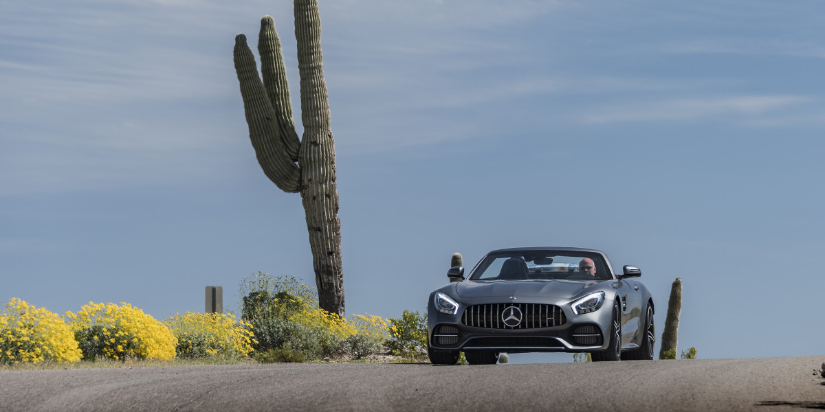 Mercedes-Benz AMG GT C  фото 182198