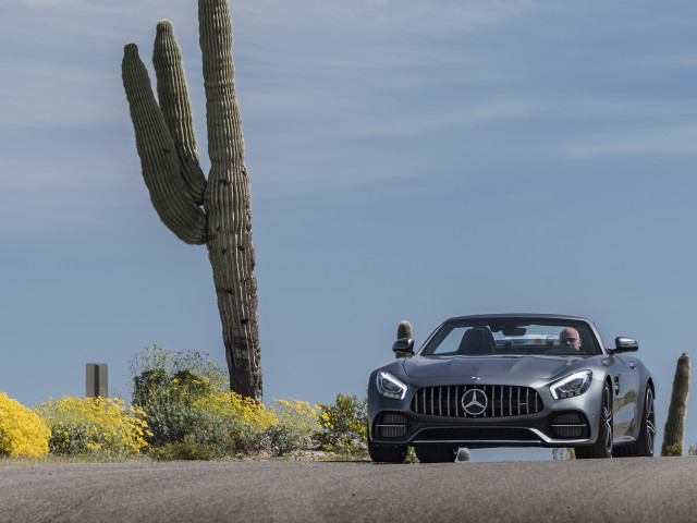 Mercedes-Benz AMG GT C  фото