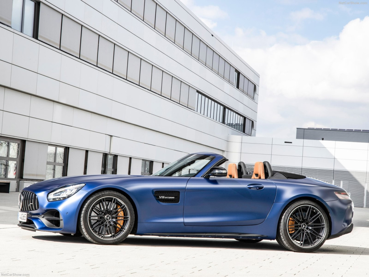 Mercedes-Benz AMG GT C  фото 201459