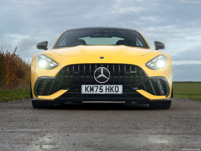 Mercedes-Benz AMG GT фото