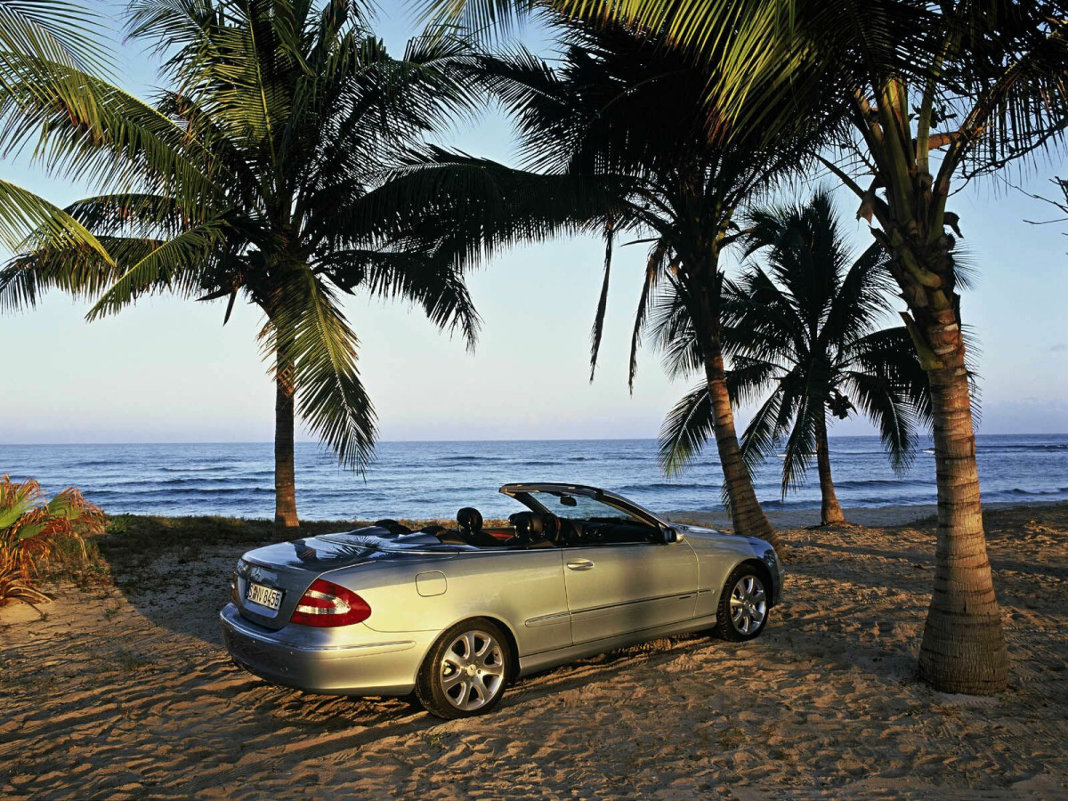 Mercedes-Benz CLK Cabriolet фото 11091