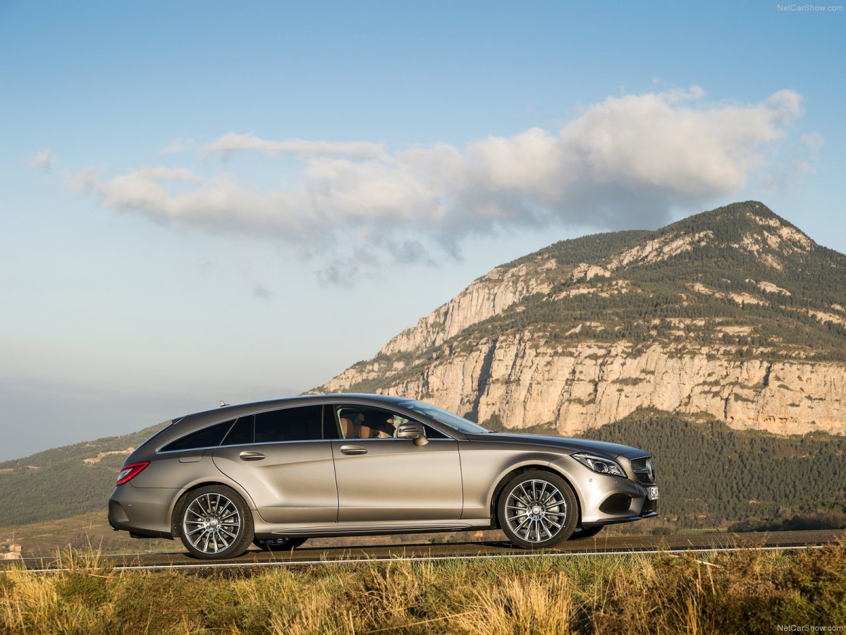 Mercedes-Benz CLS Shooting Brake фото 150243