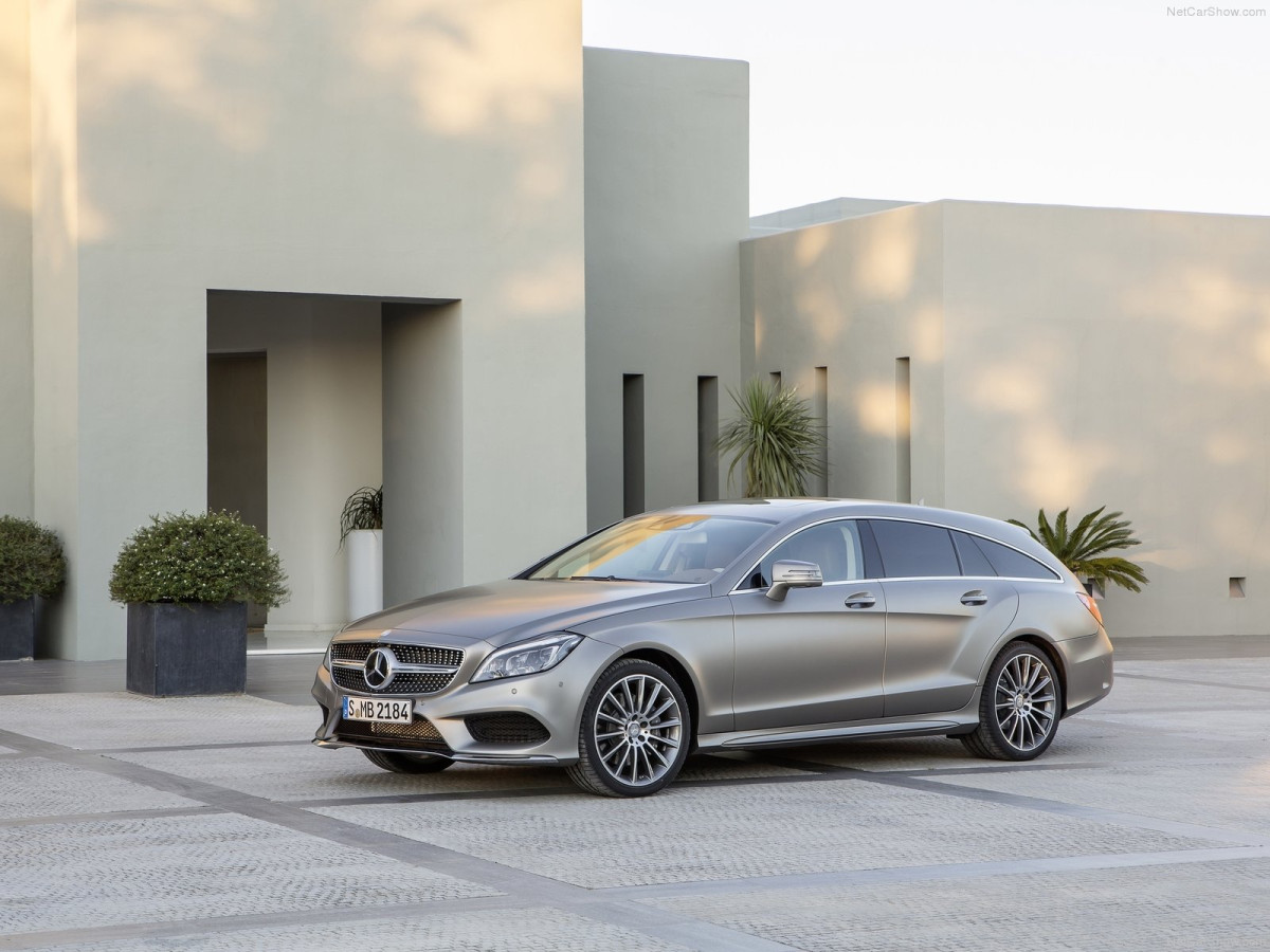 Mercedes-Benz CLS Shooting Brake фото 150246