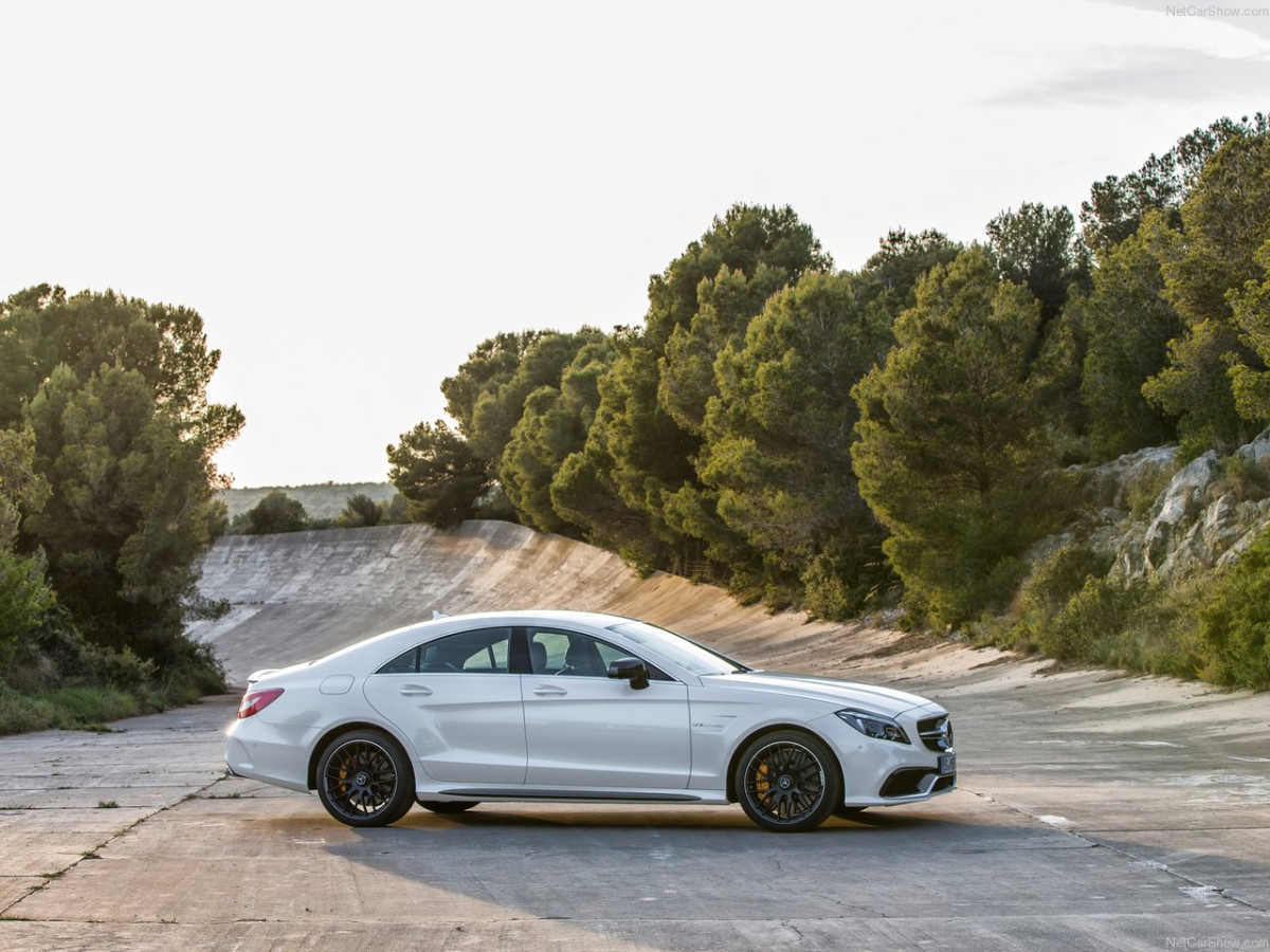 Mercedes-Benz CLS63 AMG фото 128363