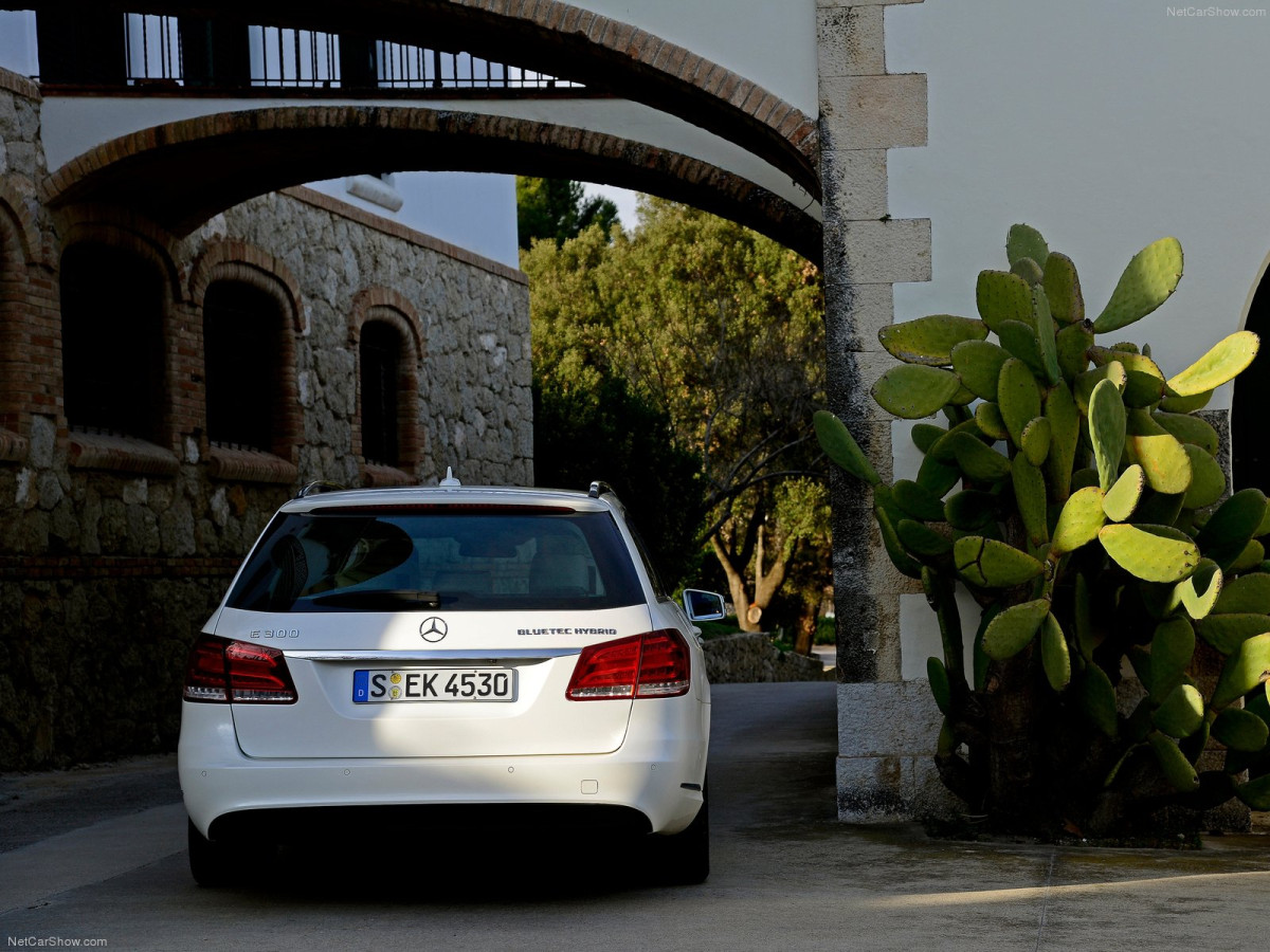 Mercedes-Benz E-Class Estate фото 163158