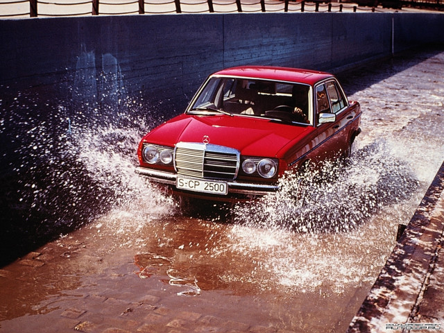 Mercedes-Benz E-Class W123 фото