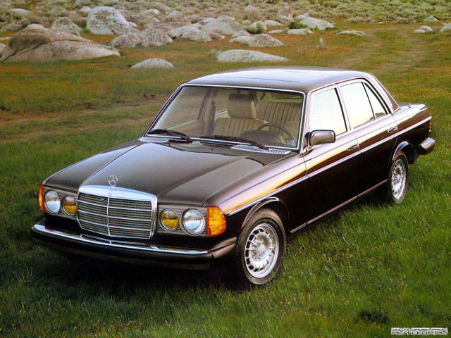 Mercedes-Benz E-Class W123 фото