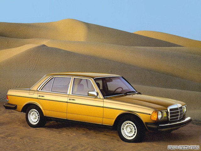 Mercedes-Benz E-Class W123 фото