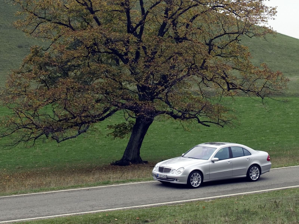 Mercedes-Benz E-Class W211 фото 17093