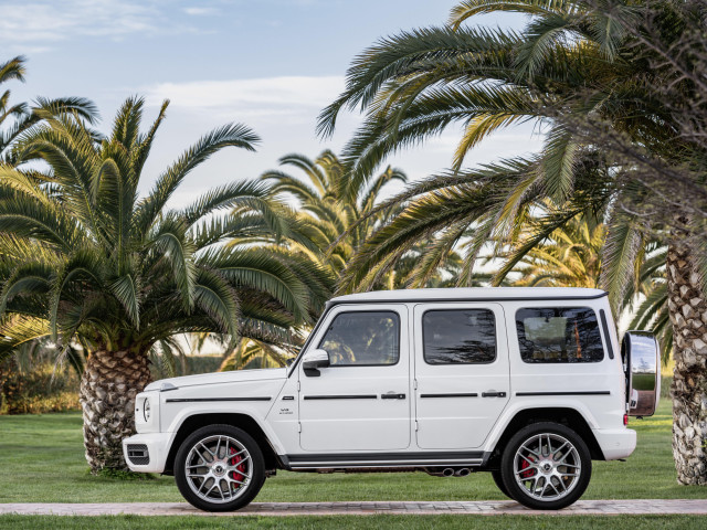 Mercedes-Benz G-Class AMG фото