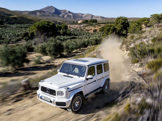 Mercedes-Benz G-Class AMG фото