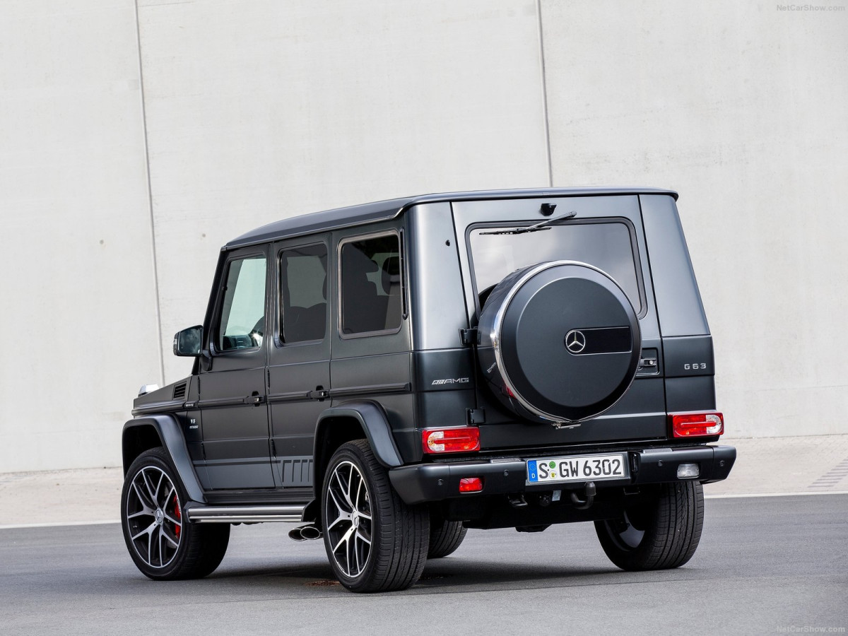 Mercedes-Benz G-Class фото 157177