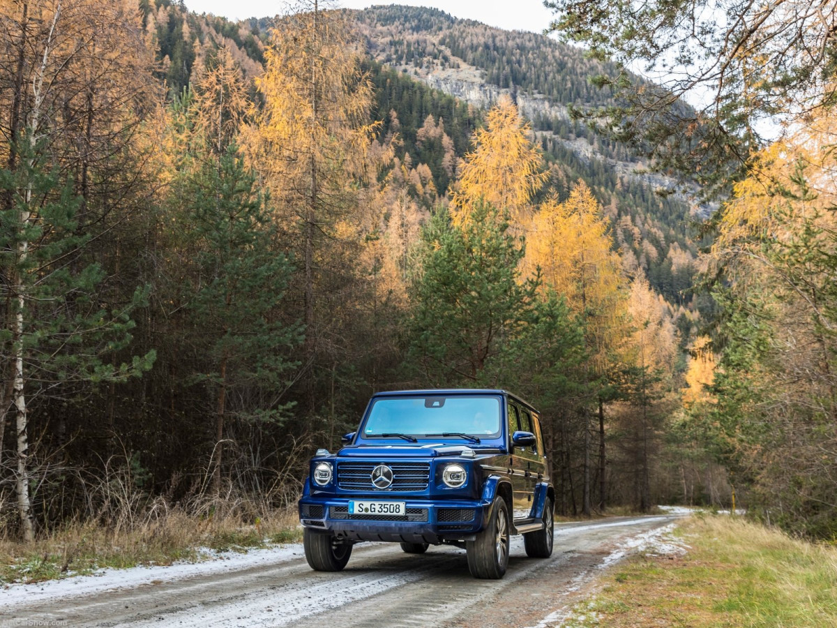 Mercedes-Benz G-Class фото 199511