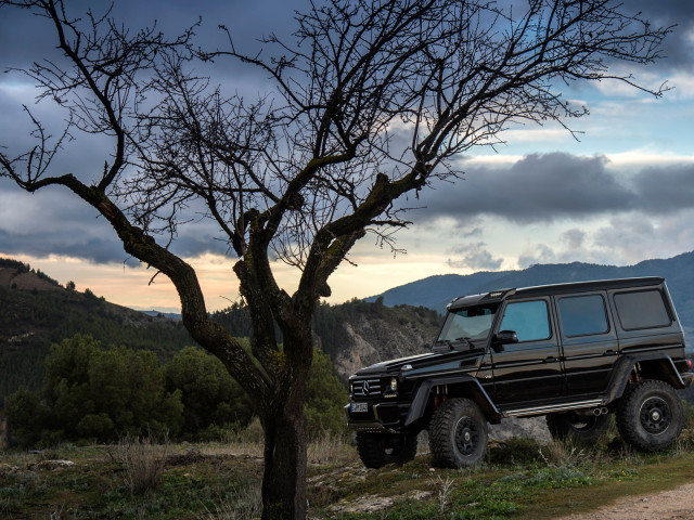 Mercedes-Benz G500 фото