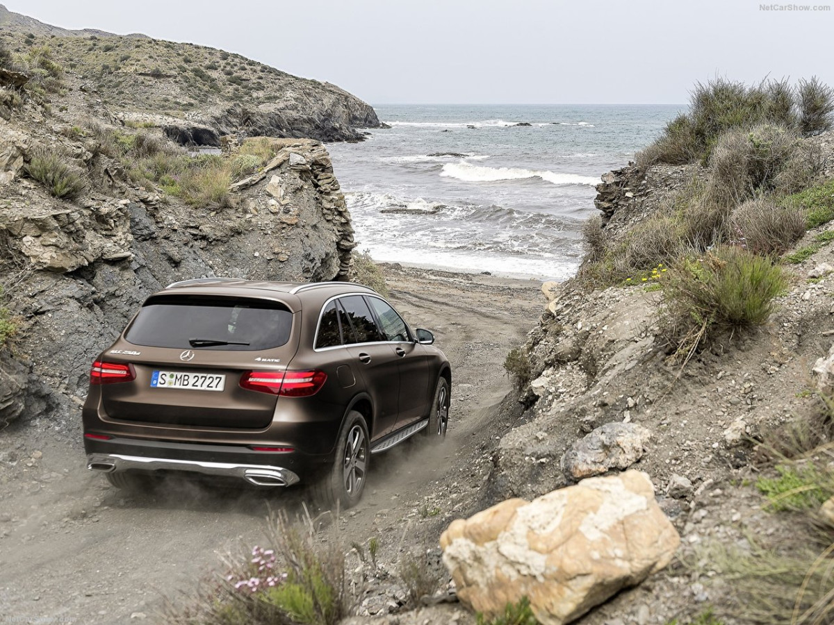 Mercedes-Benz GLC фото 152804