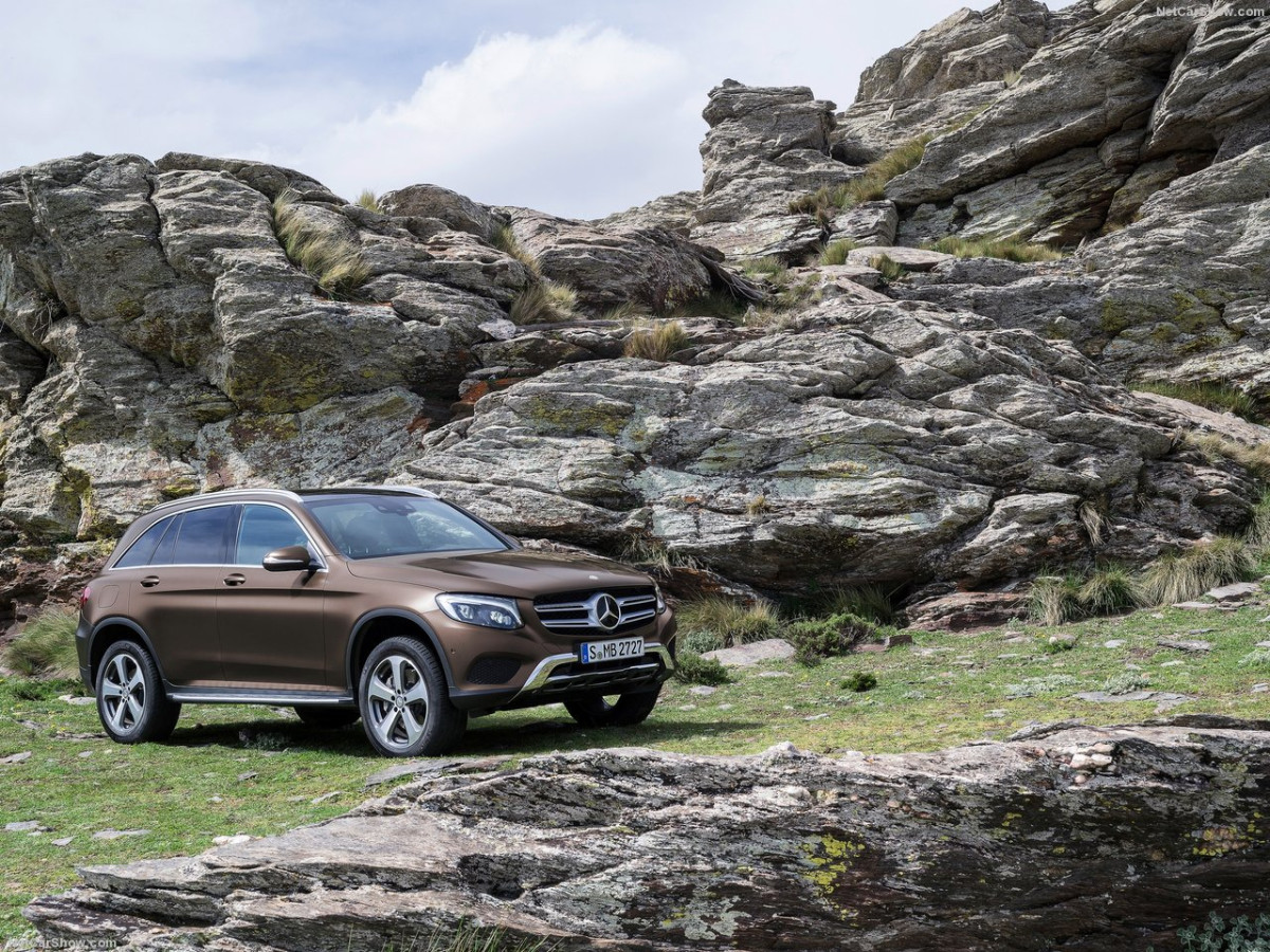 Mercedes-Benz GLC фото 152844