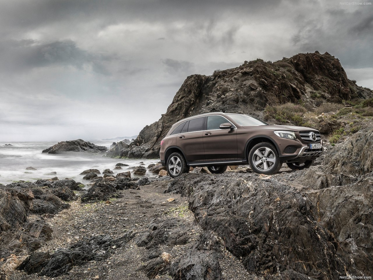 Mercedes-Benz GLC фото 152855