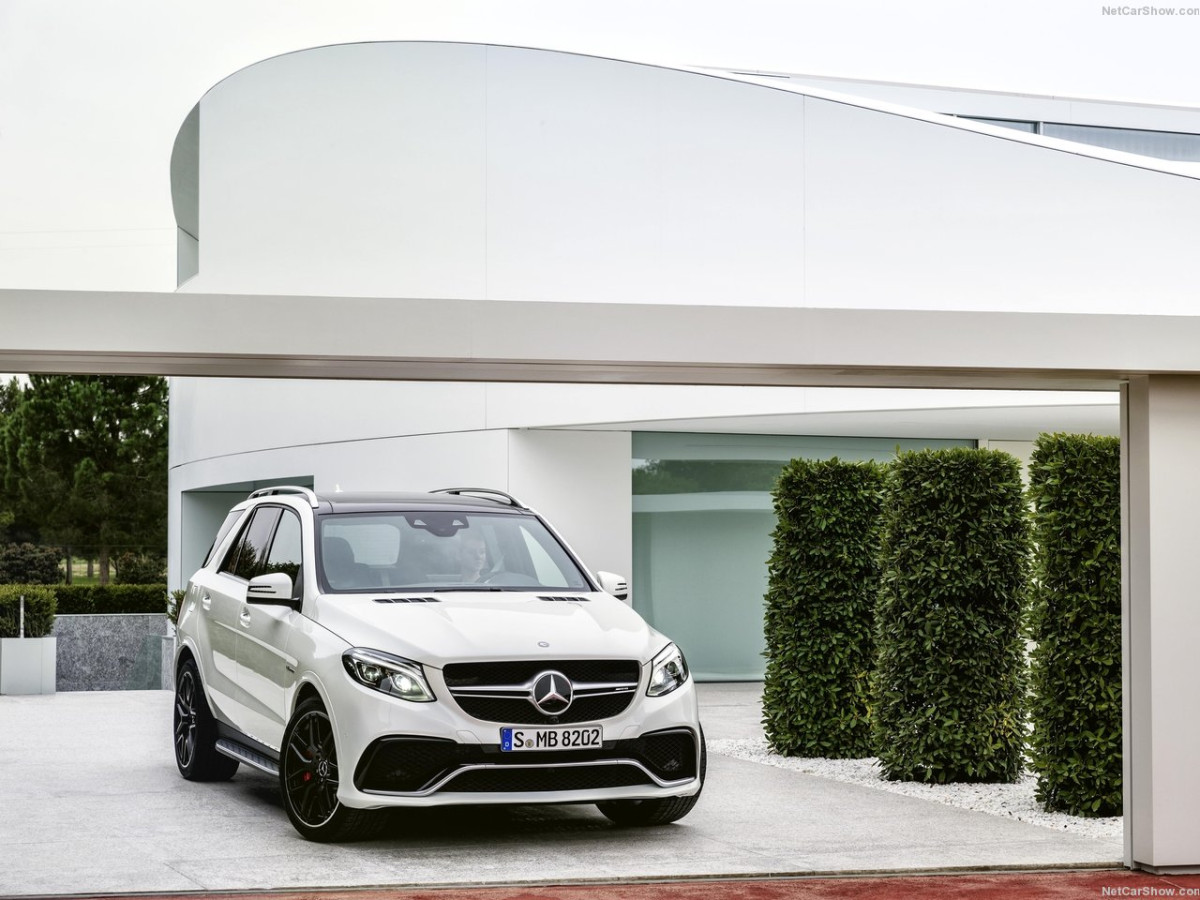 Mercedes-Benz GLE AMG фото 144319