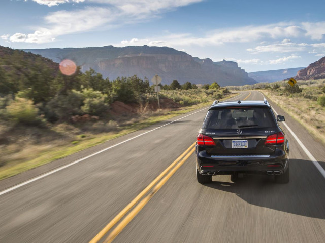 Mercedes-Benz GLS фото