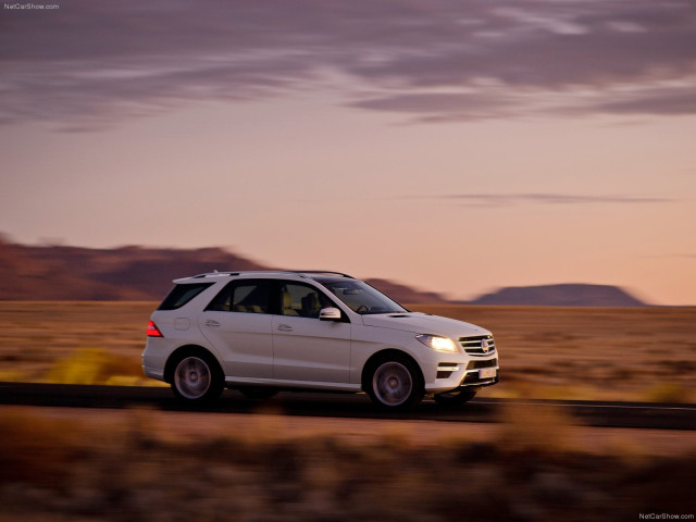 Mercedes-Benz M-Class фото