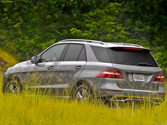 Mercedes-Benz M-Class фото