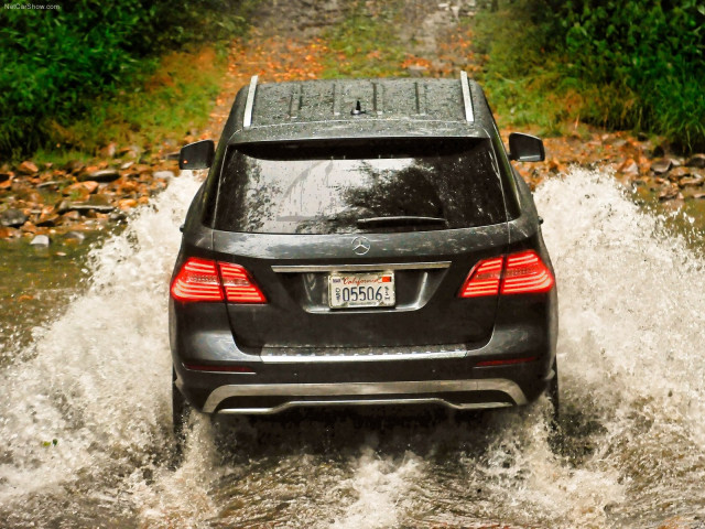 Mercedes-Benz M-Class фото