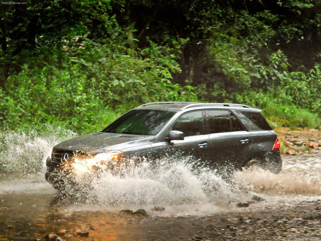 Mercedes-Benz M-Class фото