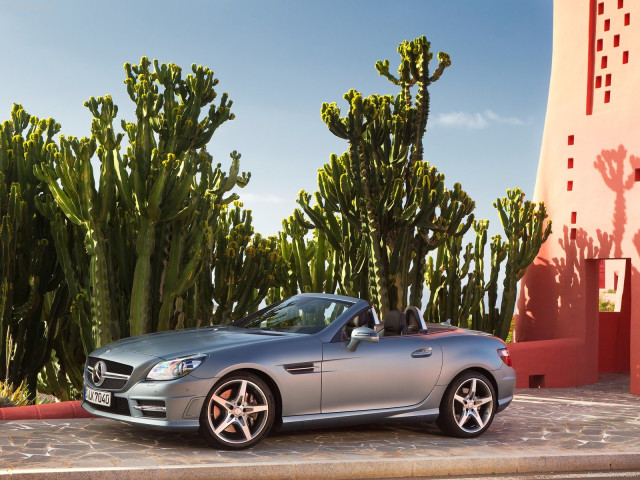 Mercedes-Benz SLK фото