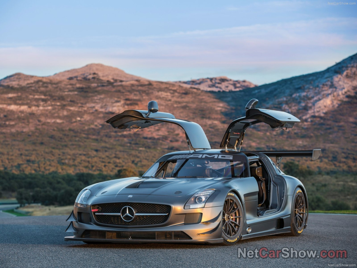 Mercedes-Benz SLS AMG GT3 фото 99948