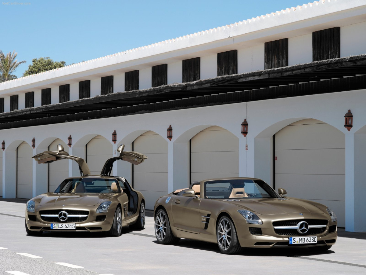 Mercedes-Benz SLS AMG Roadster фото 87944