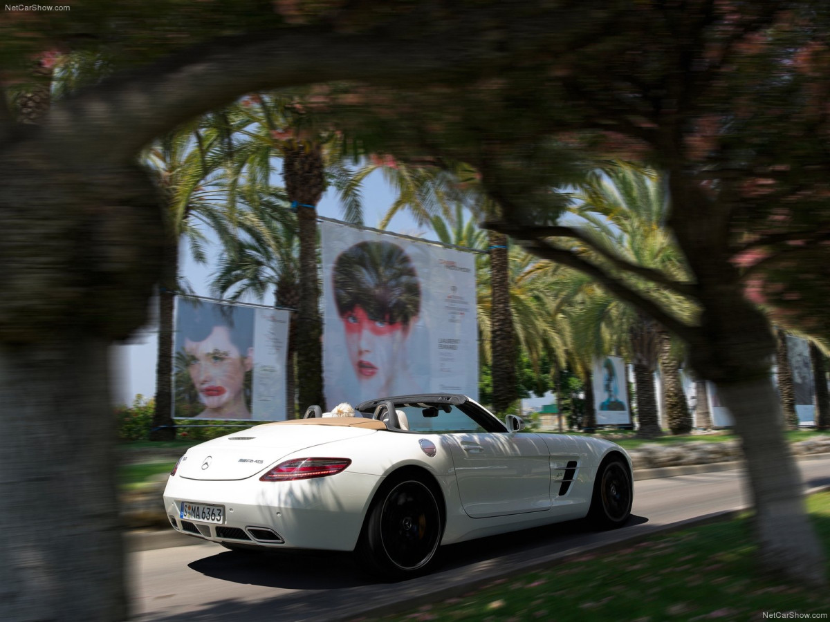 Mercedes-Benz SLS AMG Roadster фото 87954