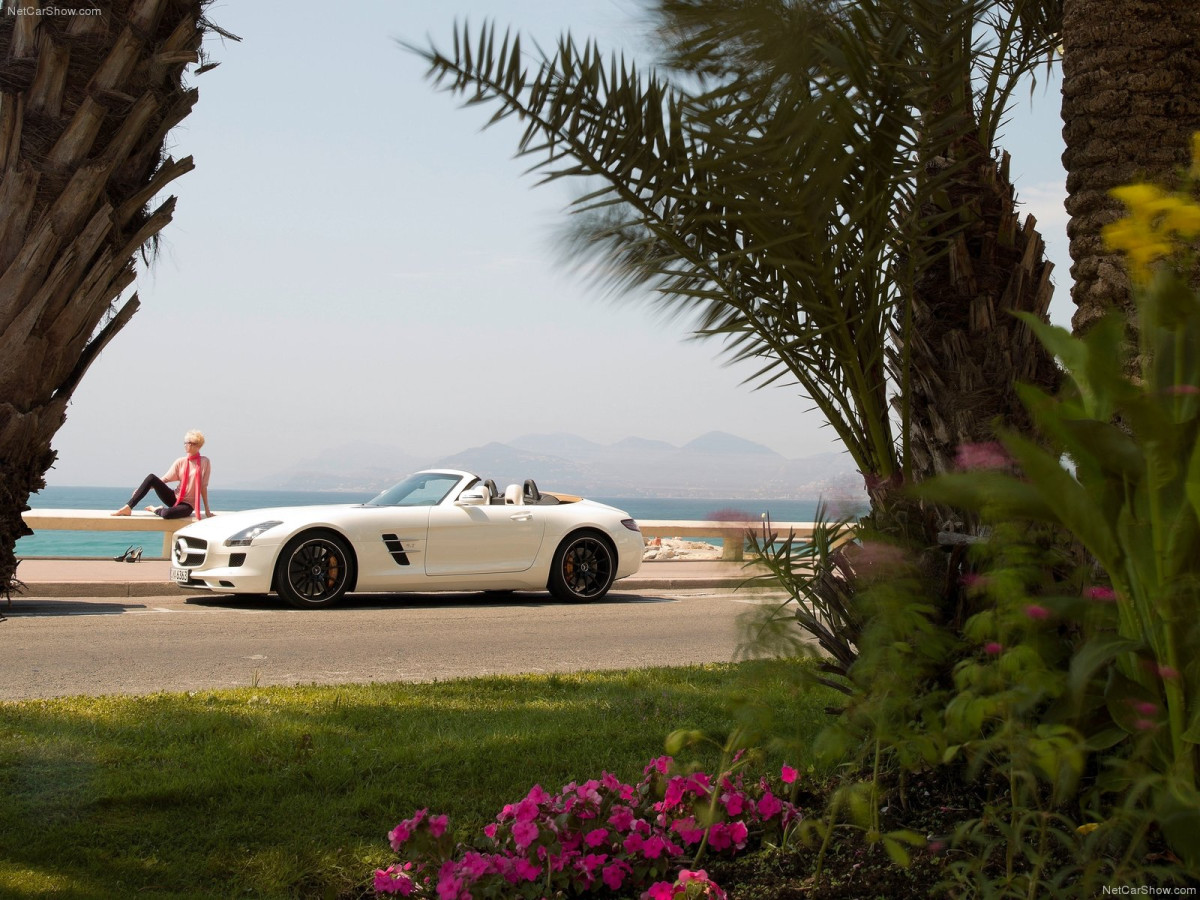 Mercedes-Benz SLS AMG Roadster фото 87972