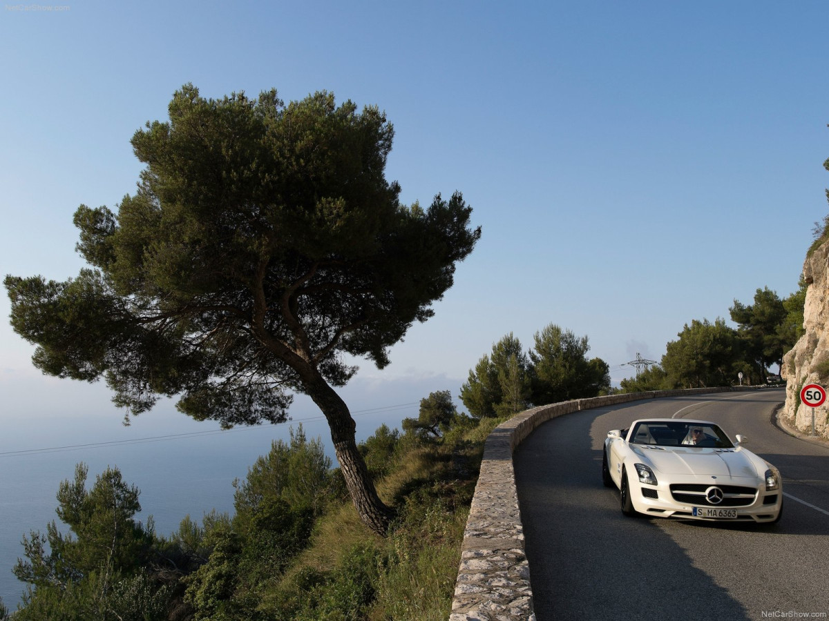 Mercedes-Benz SLS AMG Roadster фото 87977