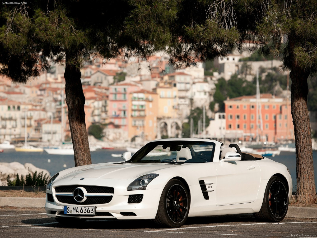 Mercedes-Benz SLS AMG Roadster фото 87989