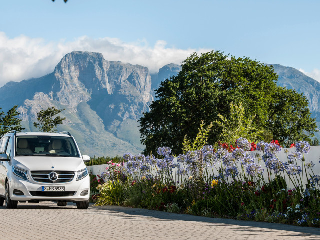 Mercedes-Benz V-Class фото