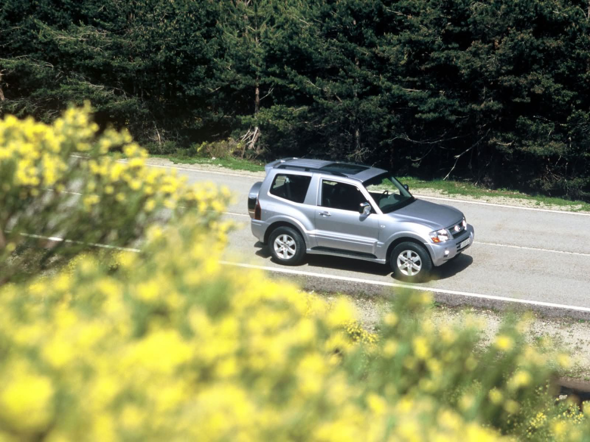 Mitsubishi Montero GLS 3-door фото 15915