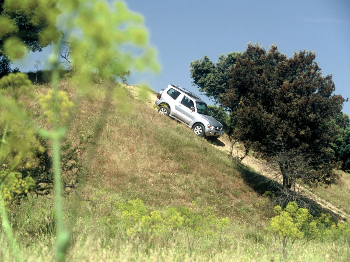 Mitsubishi Montero GLS 3-door фото 15917