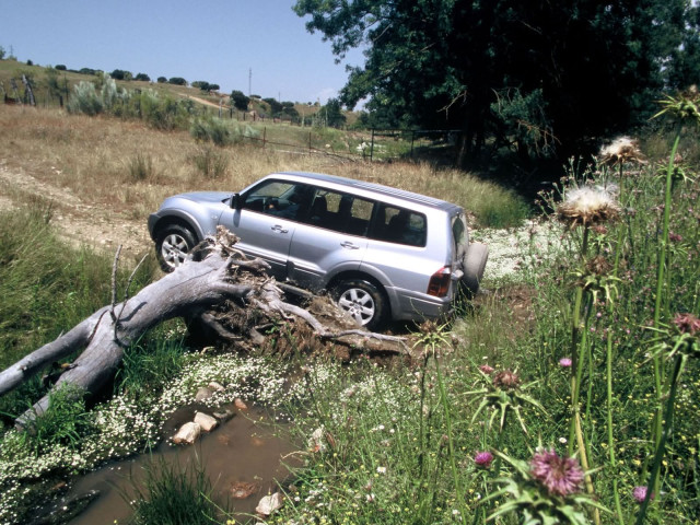 Mitsubishi Montero GLS 5-door фото